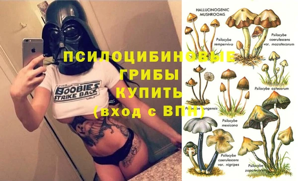 МДПВ Арсеньев