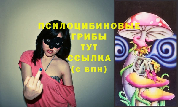 МДПВ Арсеньев