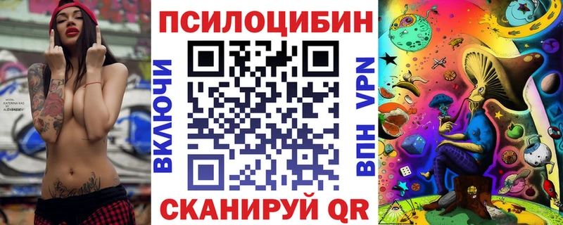 Купить где  Джанкой  Псилоцибиновые грибы Psilocybe 